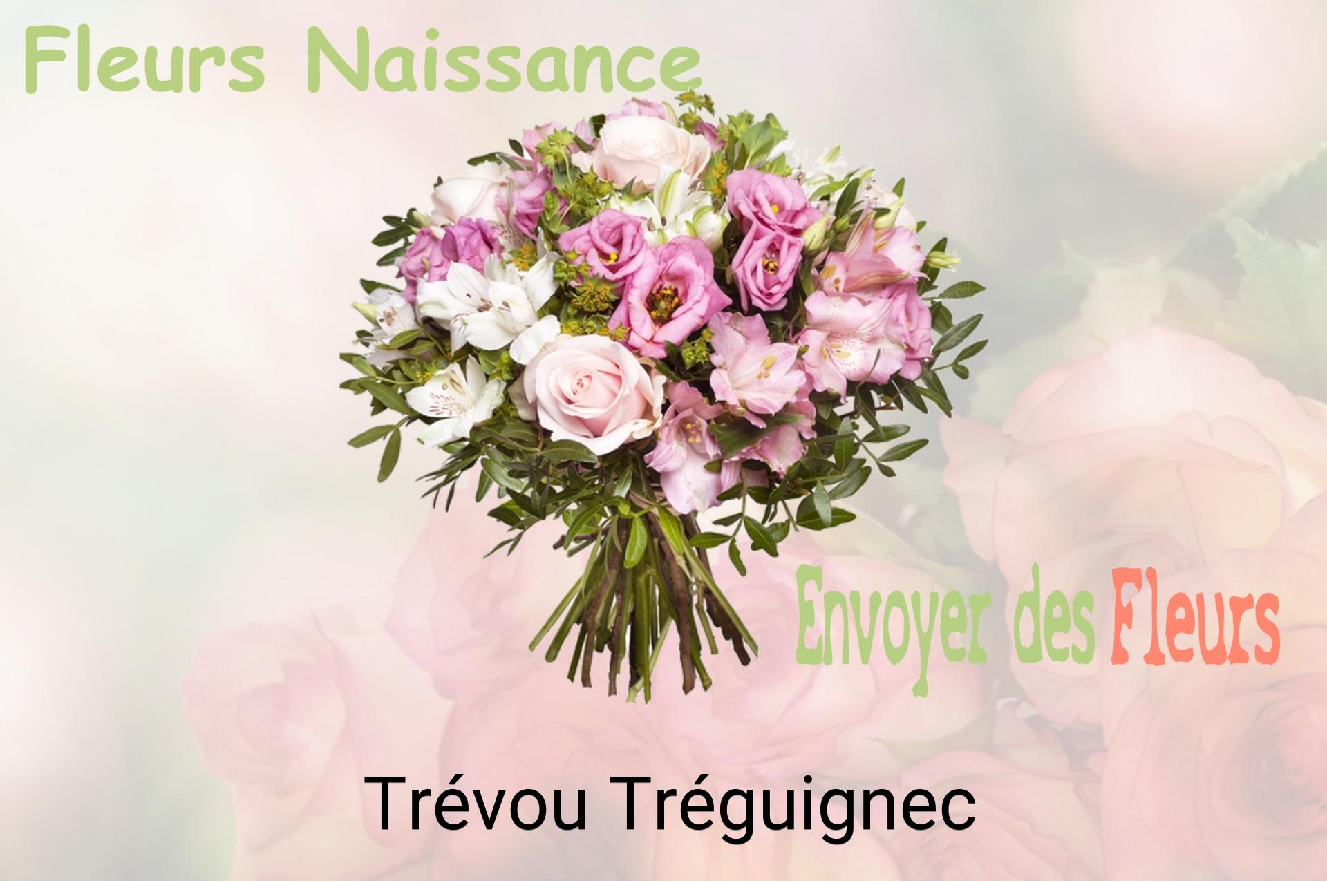 Bouquet de fleurs de naissance livré à Trévou-Tréguignec